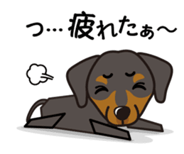 iinu - German Pincher sticker #14102284