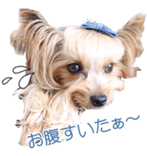 doggiesfan sticker #14103249