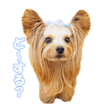 doggiesfan sticker #14103254