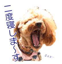 doggiesfan sticker #14103256