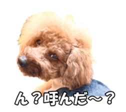 doggiesfan sticker #14103257