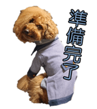 doggiesfan sticker #14103261