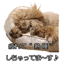 doggiesfan sticker #14103262