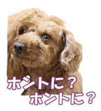 doggiesfan sticker #14103263