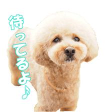 doggiesfan sticker #14103264