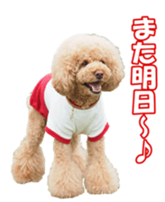 doggiesfan sticker #14103266