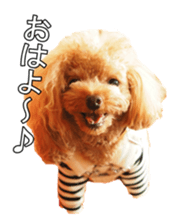 doggiesfan sticker #14103269