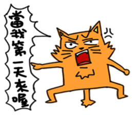 Crying cats orange sticker #14105684