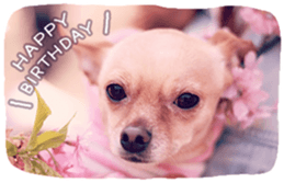 GIRLYDROP * ver.BIRTHDAY sticker #14106753