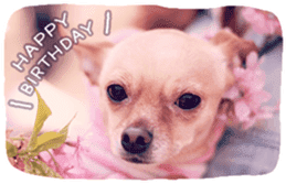 GIRLYDROP * ver.BIRTHDAY sticker #14106753