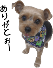 Cute Dogs' greeting stickers sticker #14107502