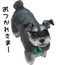 Cute Dogs' greeting stickers sticker #14107503