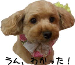 Cute Dogs' greeting stickers sticker #14107505