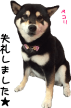 Cute Dogs' greeting stickers sticker #14107506