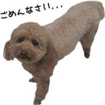 Cute Dogs' greeting stickers sticker #14107507