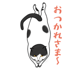 Easy cats ~anytime~ sticker #14107671