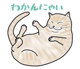 Easy cats ~anytime~ sticker #14107672