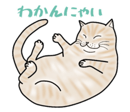 Easy cats ~anytime~ sticker #14107672
