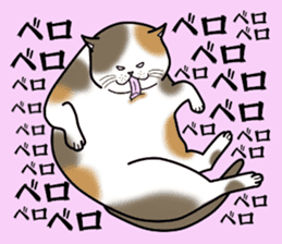 Easy cats ~anytime~ sticker #14107676
