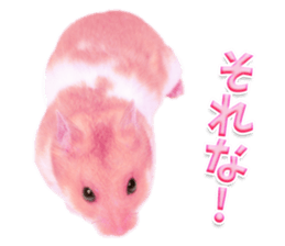 Pink hamster japanese kansai sticker #14109165