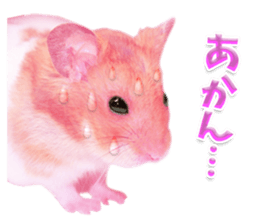 Pink hamster japanese kansai sticker #14109166