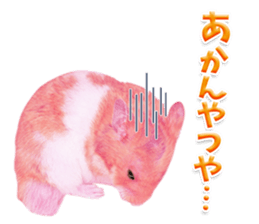 Pink hamster japanese kansai sticker #14109167