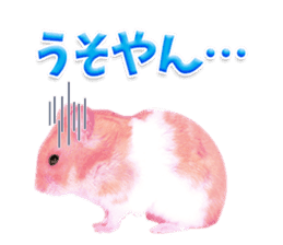 Pink hamster japanese kansai sticker #14109169