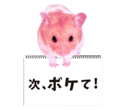 Pink hamster japanese kansai sticker #14109171