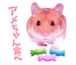 Pink hamster japanese kansai sticker #14109173