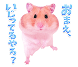 Pink hamster japanese kansai sticker #14109174