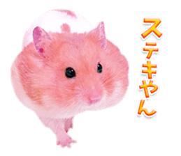 Pink hamster japanese kansai sticker #14109180