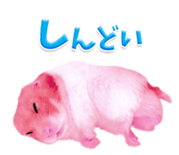 Pink hamster japanese kansai sticker #14109184