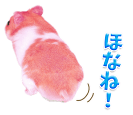 Pink hamster japanese kansai sticker #14109191