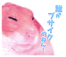 Pink hamster japanese kansai sticker #14109194