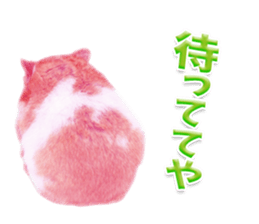 Pink hamster japanese kansai sticker #14109195