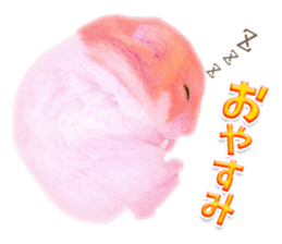 Pink hamster japanese kansai sticker #14109197