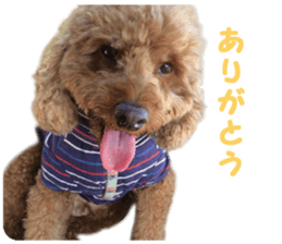 DEKAPOO SORA sticker #14110126