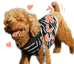 DEKAPOO SORA sticker #14110127