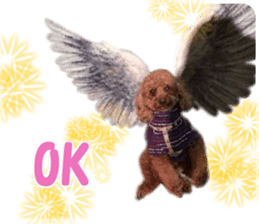 DEKAPOO SORA sticker #14110128