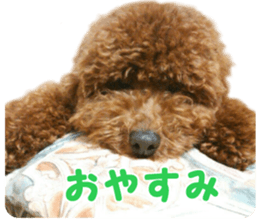 DEKAPOO SORA sticker #14110129