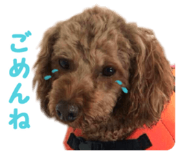 DEKAPOO SORA sticker #14110130