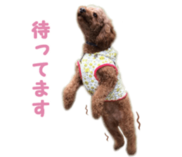 DEKAPOO SORA sticker #14110131