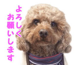 DEKAPOO SORA sticker #14110132