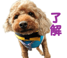 DEKAPOO SORA sticker #14110133