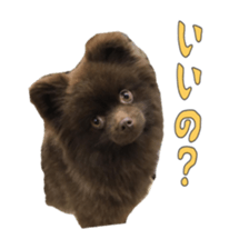 Chataro with friends sticker #14110158