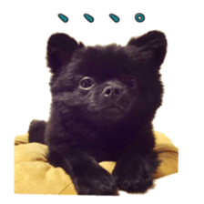 Chataro with friends sticker #14110163