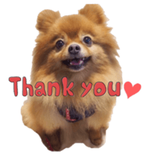 Chataro with friends sticker #14110166