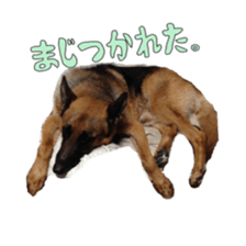 Chataro with friends sticker #14110169