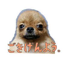 Chataro with friends sticker #14110173