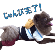 Chataro with friends sticker #14110177